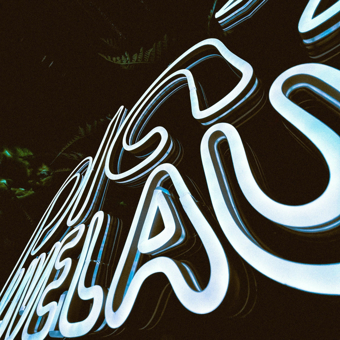 Case Study: Brew & Bloom's Custom LED Neon Sign in Brisbane - Neon Lanes