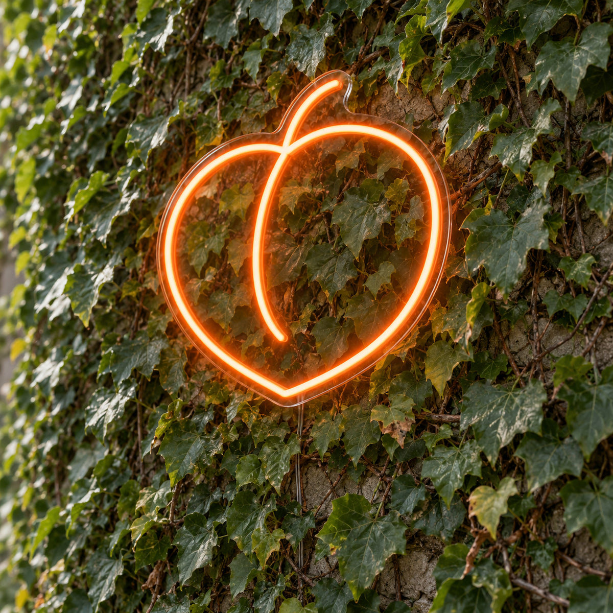 Peach LED Neon Light Sign in orange, featuring peach outline against a green foliage wall.