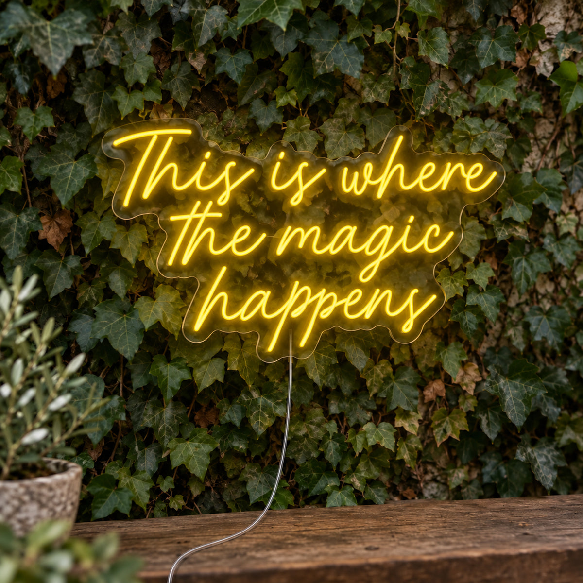 This Is Where The Magic Happens Neon Sign in yellow, featuring three lines of script lettering against a foliage wall.