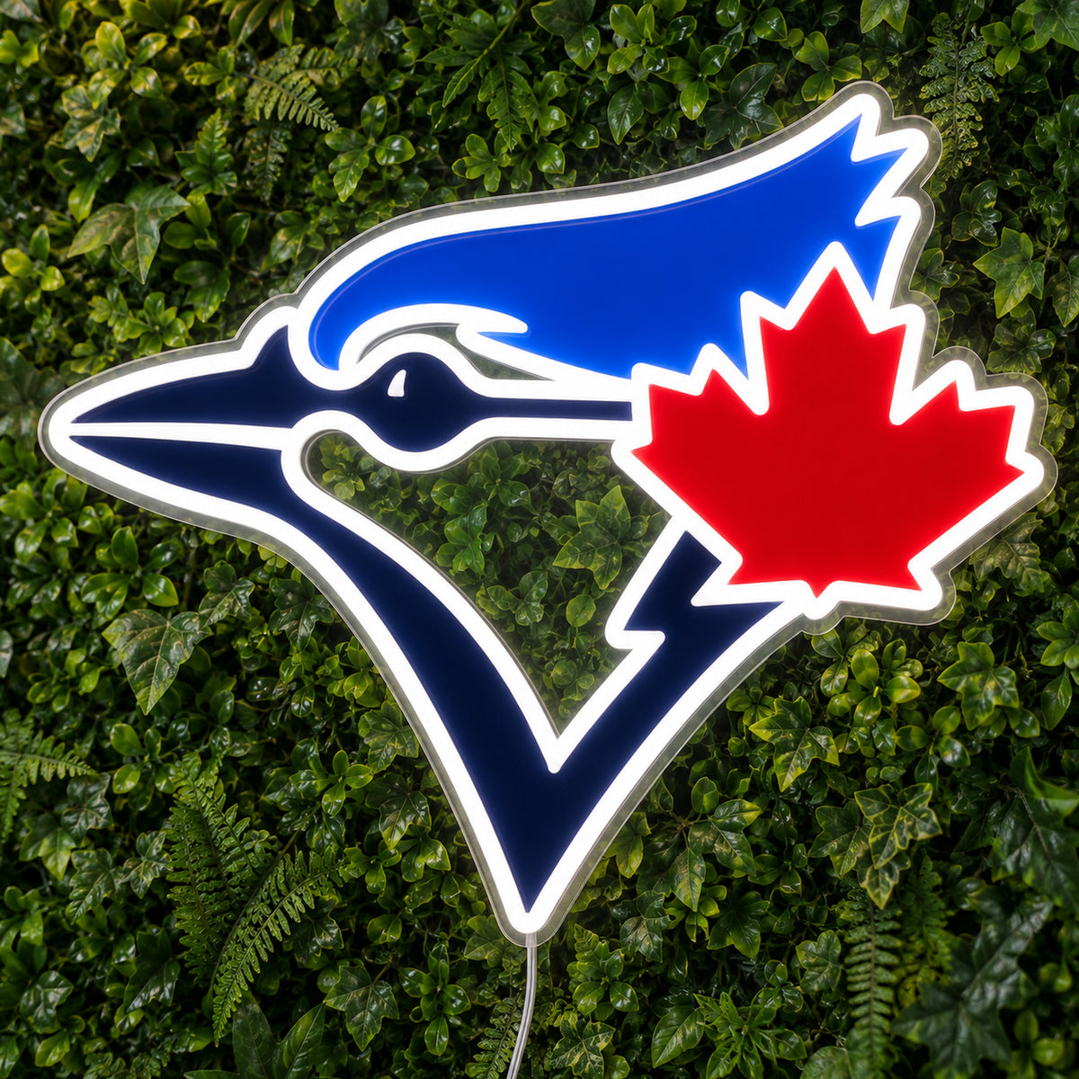 Toronto Blue Jays LED Neon Sign, featuring team logo displayed on a green foliage wall.